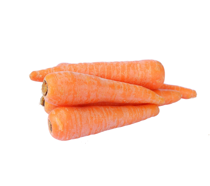 Carrot Bangalore