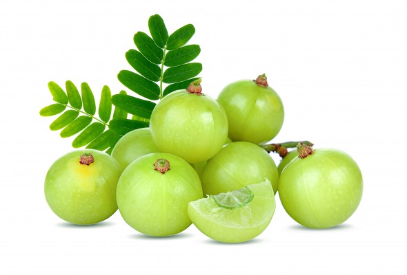 Gooseberry (amla)