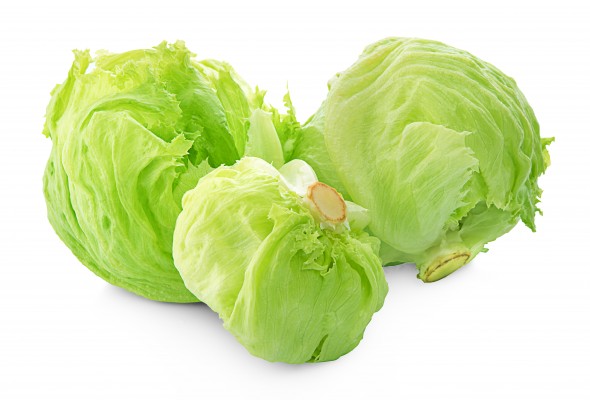 Iceberg Lettuce