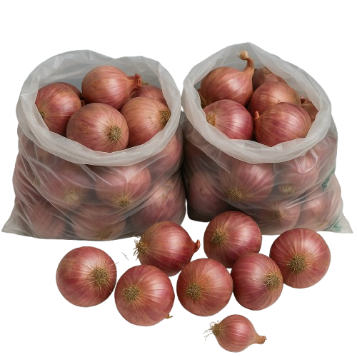 Onion Medium size