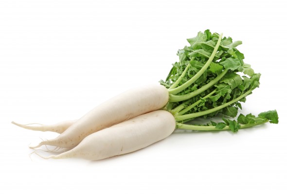 Radish White