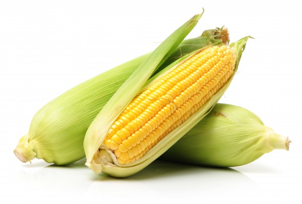 Sweet Corn Fresh